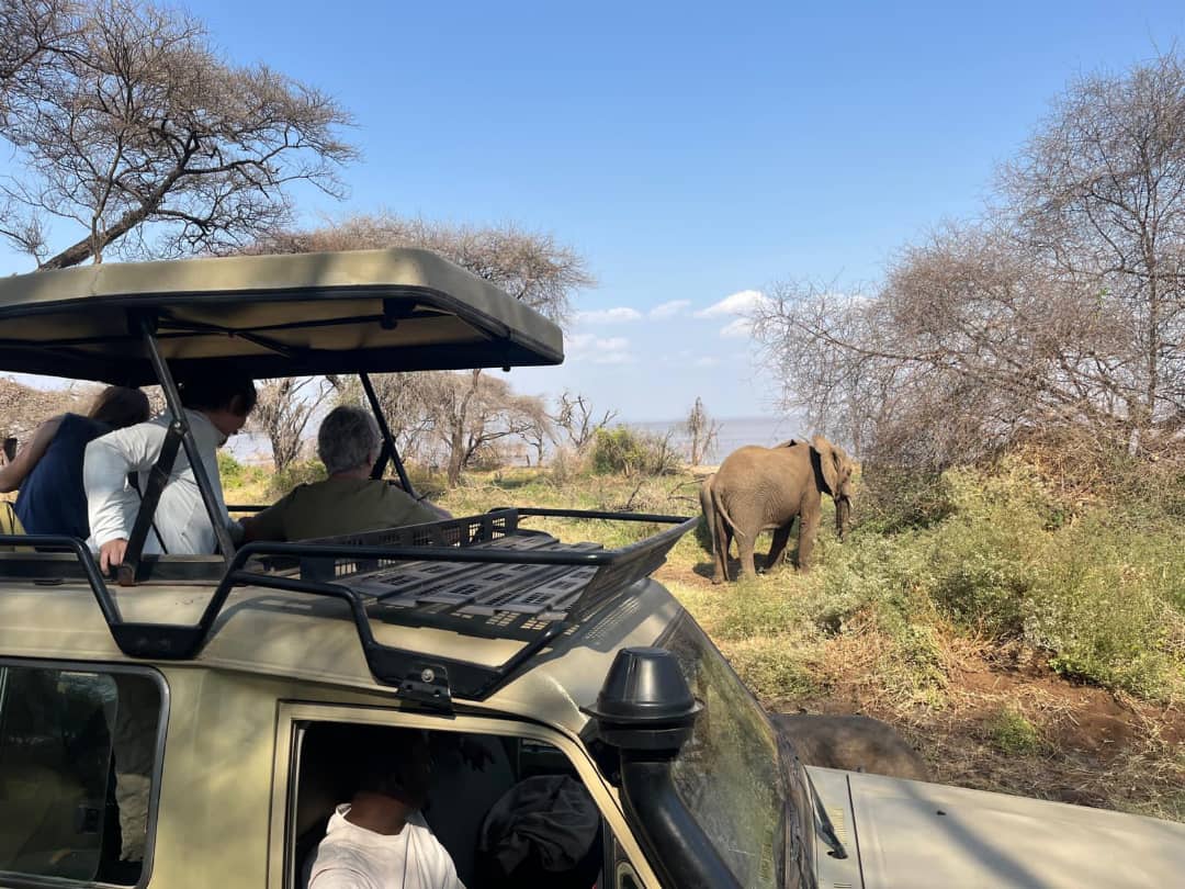 Ngorongoro